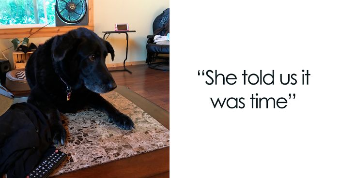 Chrissa Explains Her Life With Her Dog Which Will Make You Cry
