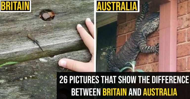 26 Images That Show The Difference Between Australia And Britain