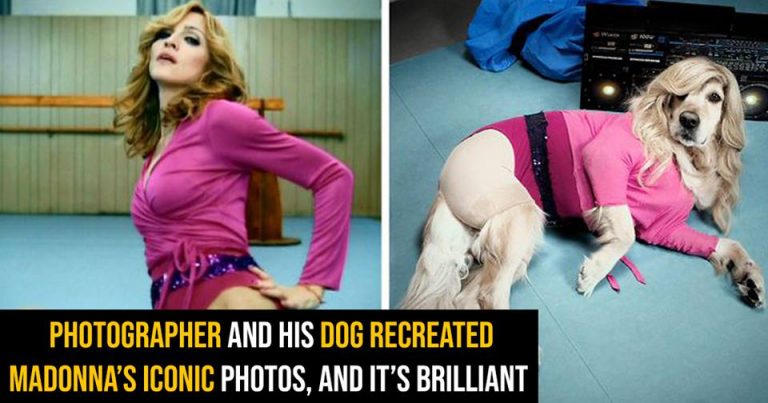 Photographer And His Dog Recreated Madonna’s Iconic Photos , And It’s Brilliant